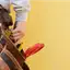Handyman repair service in Providence, RI for home fixes and improvements