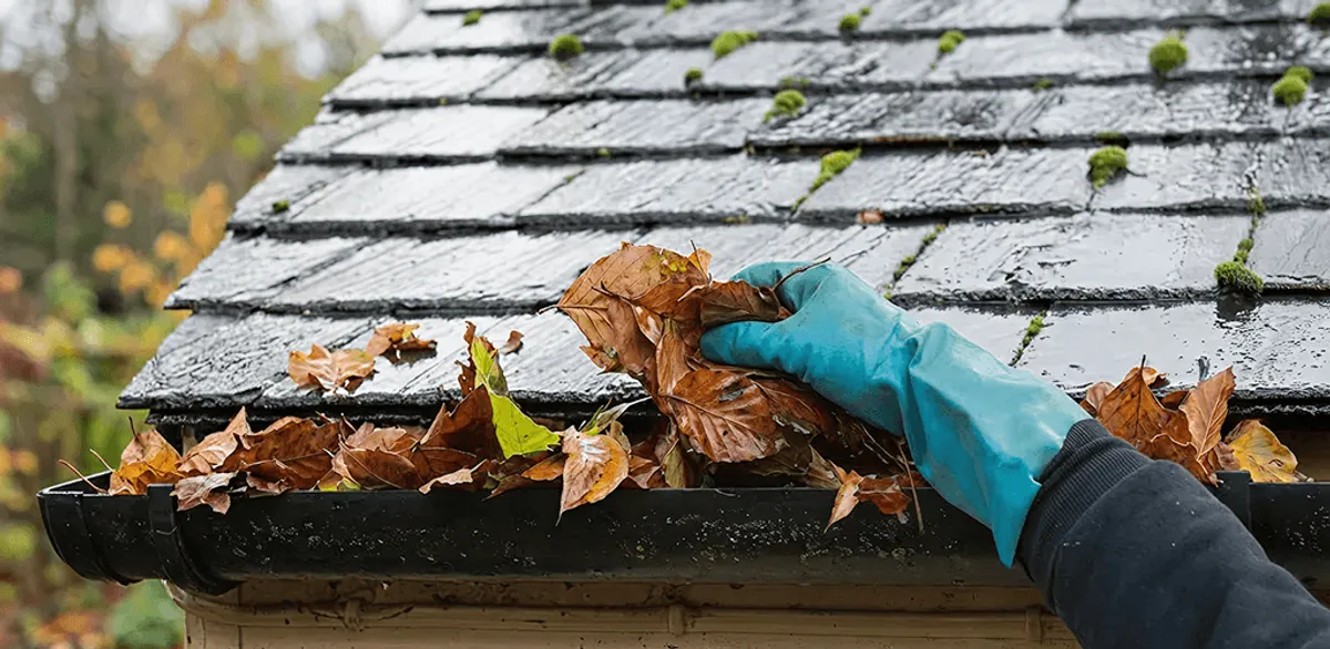 Gutter cleaning technician clearing wet leaves from roof gutters in Providence, RI